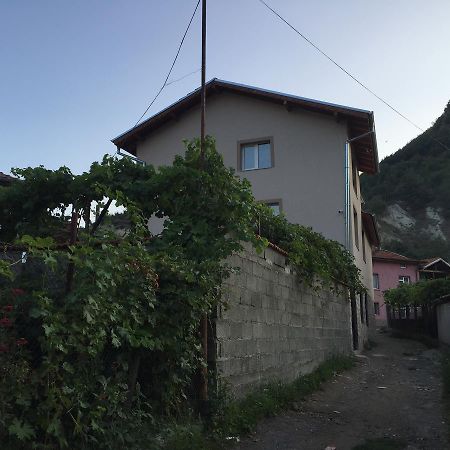 Elenite Guesthouse 戈采代尔切夫 外观 照片