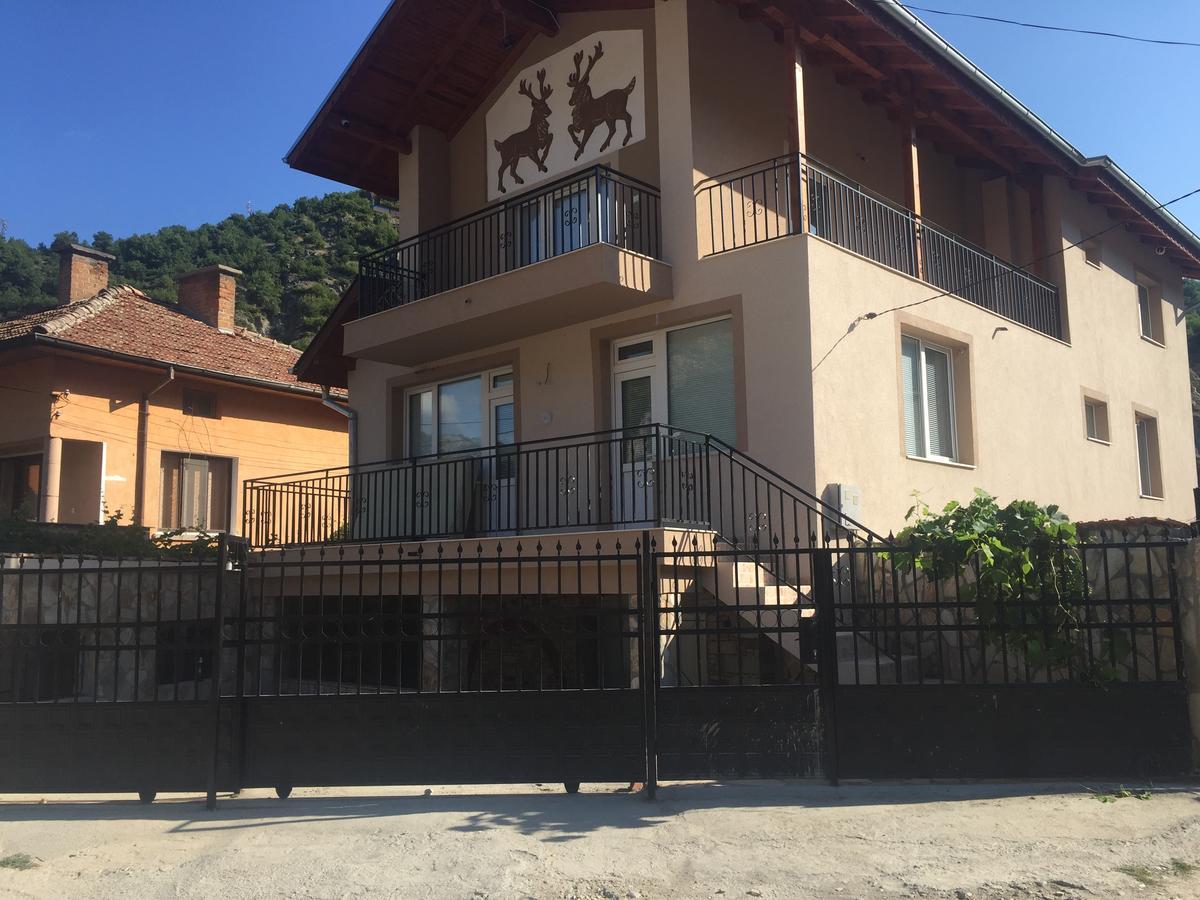 Elenite Guesthouse 戈采代尔切夫 外观 照片
